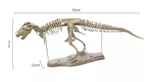 Esqueleto Dinossauro T-rex - ( quebra cabeça ) 60cm - Escorrega o Preço