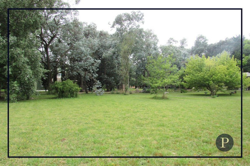 Imagen 3 de 4 de Venta Lote Los Pinares Santa Clara