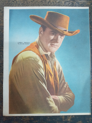 La Ley Del Revolver (james Arness) * Poster Canal Tv * 1960