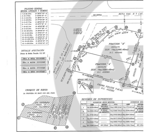 3 Hectareas Acceso Este San Roque Maipú - Mendoza