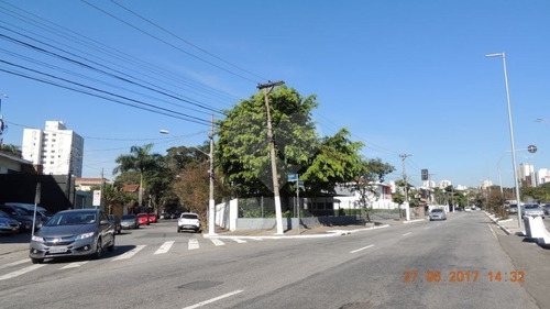 Terreno Comercial Zcor Fantástica Localização E Grande Apelo Comercial - 375-im250480