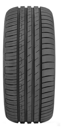 Kit De 2 Llantas 225/45r1895w Goodyear Efficient Perforngxl W