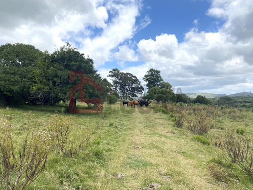 Campo Sobre Ruta 39 Con Lindo Casco Reciclado Y Arroyo, Cerca De Aigua