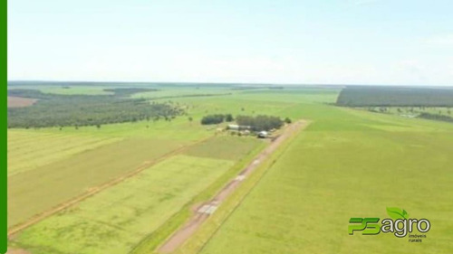 Imagem 4 de 19 de Fazenda À Venda, 108300000 M² Por R$ 180.000.000 - Centro - Canarana/mt - Fa0300