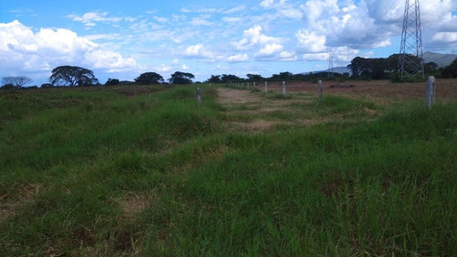 Imagen 7 de 10 de Finca En Guigue