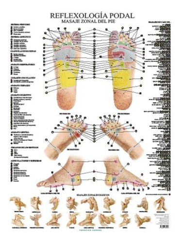 Laminas Reflexologia Podal Ne - Jimenez Hernandez,miguel