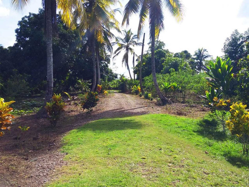 Te Vendo Bellas Finca En La Acienda Estrella