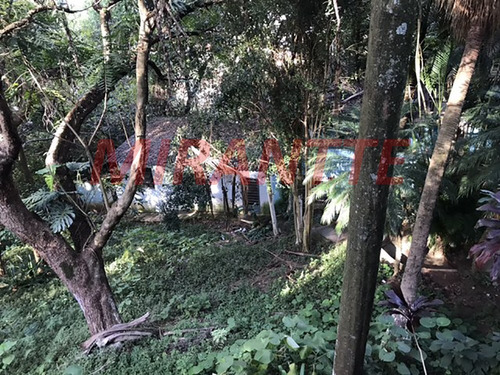Imagem 16 de 17 de Terreno Em Tremembe - São Paulo, Sp - 357314