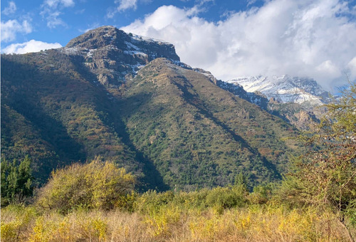 Fundo Reserva Ecologica 4.700has Los Queñes