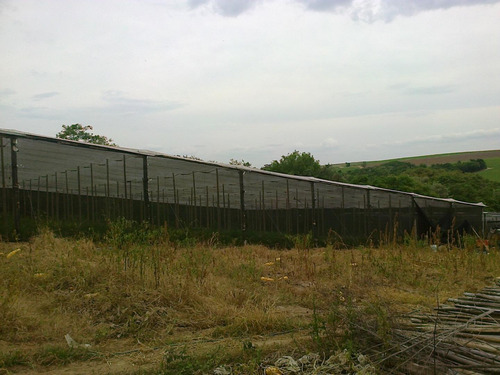 Chácara À Venda, 20000 M² Por R$ 530.000 - Ipiranga - Elias Fausto/sp - Ch0029