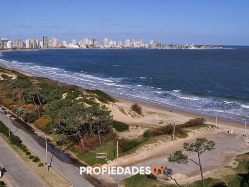 Imagen 4 de 26 de Vista Panoramica Al Mar, Sobre Playa Mansa