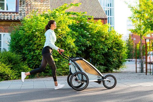 Remolque multifuncional para bicicletas Chariot Cross 1 Alaska - Thule