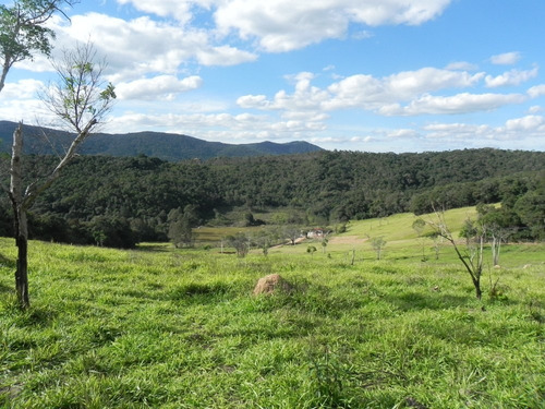(sc) Ideal Para Construir Sua Casa No Campo! Preços Baixos!