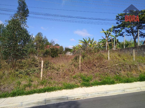 Imagem 7 de 7 de Terreno À Venda, 800 M² Por R$ 280.000,00 - Jardim Odorico - Mairiporã/sp - Te0324