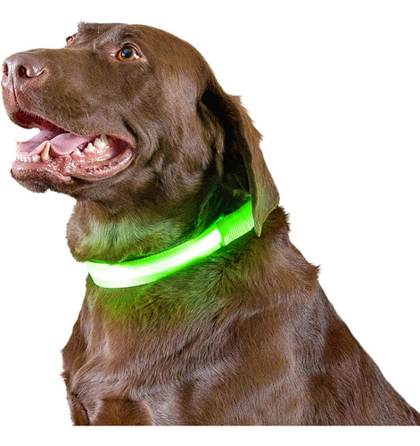 Collar Para Perro Furhaven Visibility Led, Tamaño Grande, Co