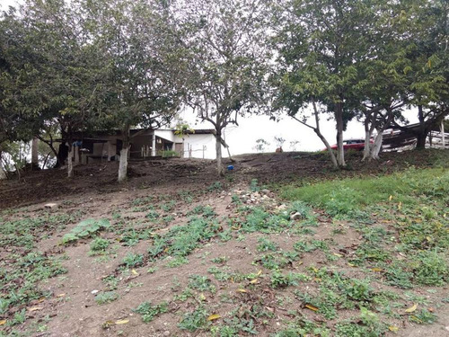 Venta Rancho Ganadero 103 Hectáreas Carretera Tuxpan -tampico