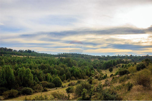 Imagen 15 de 30 de Parcela De Agrado En Chiloé