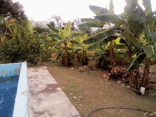 Imagen 17 de 21 de Se Vende Finca Con Casa En Tronconero Yagua Guacara