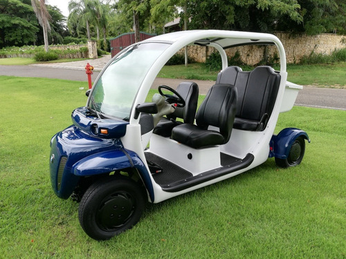 Imagen 8 de 8 de Carrito De Golf / Carro De Golf Electrico Version Especial