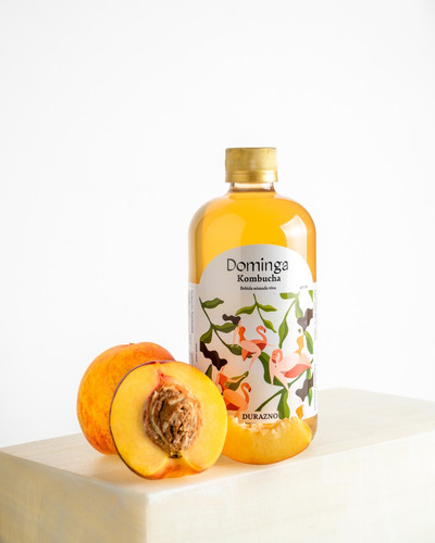 Kombucha Sabores Varios