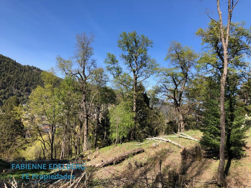 Imagen 11 de 30 de Terreno Apto Desarrollo Lote Centro 6686 M2 - San Martin De Los Andes