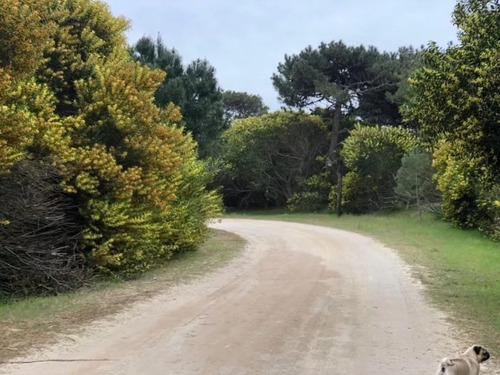 Lote Oportunidad Punta Medanos A Metros Del Mar - E04