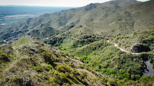 Imagen 13 de 28 de Se Venden 148 Ha De Terreno En Cerro Pan De Azúcar