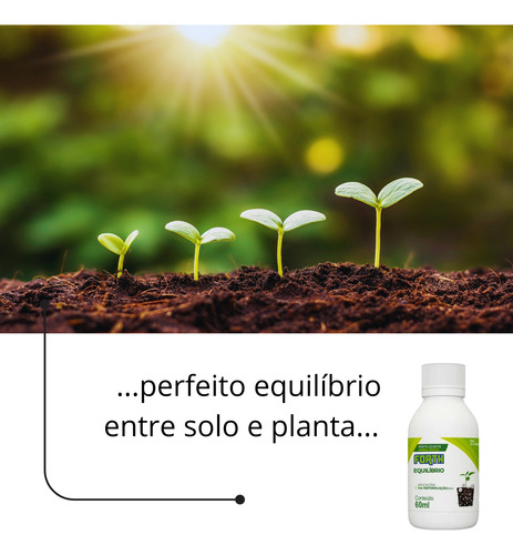 Fertilizante Equilíbrio Forth 60ml Concentrado Adubo Cálcio