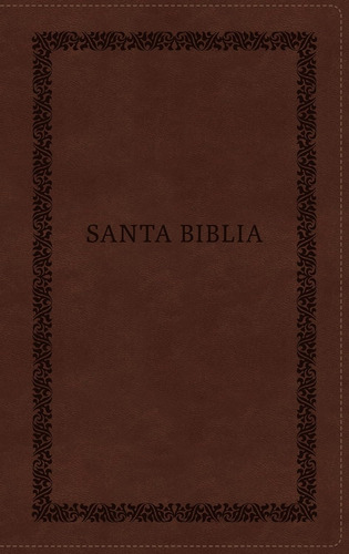 Biblia Rvr60: Letra Grande, Imágenes De Tierra Santa, Café