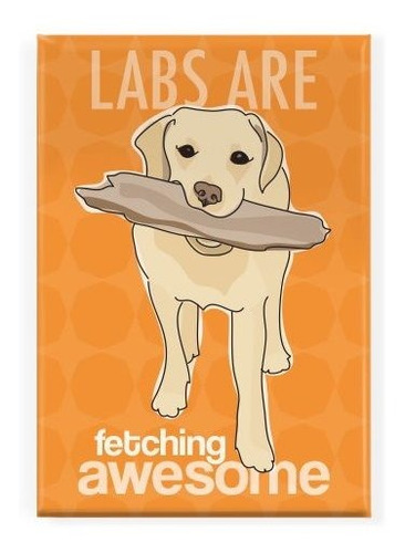 Pop Doggie Labs Son Fetching Awesome Amarillo Lab Labrador R