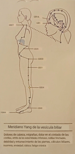 Imagen 5 de 9 de Lapiz De Acupuntura Elimina Dolencias!! +estuche+gel Conduct
