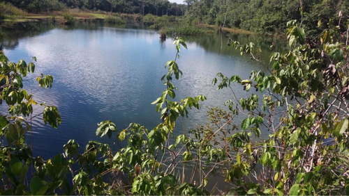 Imagem 5 de 10 de Fazenda Dupla Aptidão Município Buritizeiro