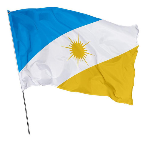 Bandeira De Tocantins 1,45m X 1m