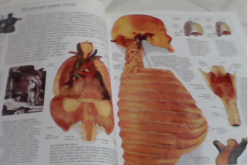 Cuerpo Humano -enciclopedia Nueva -visual -tomo -tapa Dura -