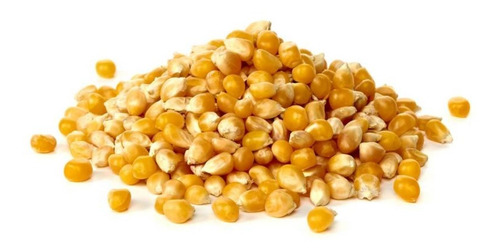 Maíz Curagua Pop Corn 1 Kg - Snackfrut