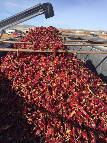 Chile Guajillo En Polvo 1kg A Granel