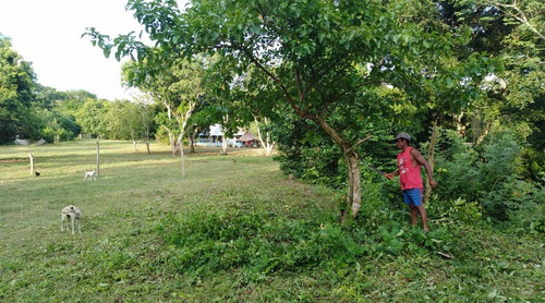 Imagen 7 de 25 de Finca En Venta Villanueva Bolivar