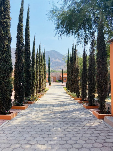 Imagen 1 de 26 de Oportunidad Excelente Rancho En Tlajomulco