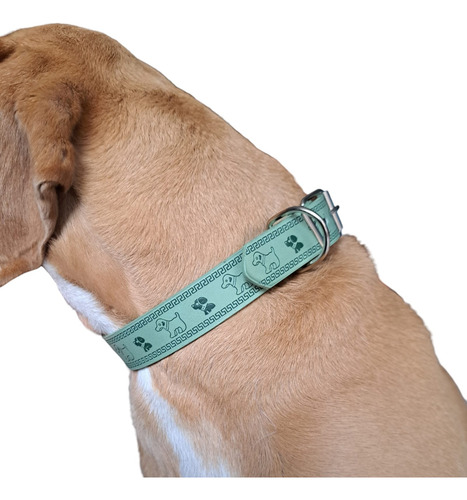 Kit P/ Perro Con Collar, Correa, Cepillo, Bolsas Y Juguete