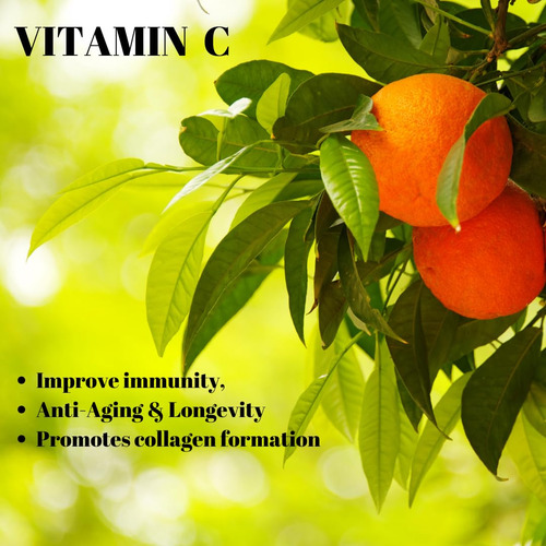 Roex Vitaminas Vitamina C Mineral 3000mg 180 Cápsulas