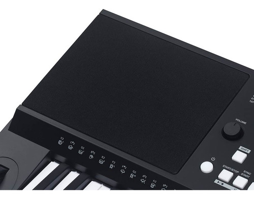 Teclado Organo Medeli Mk300 61 Teclas 5 Octavas Sensitivo
