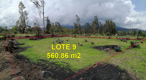 Imagen 3 de 7 de Terrenos Económicos En Cotacachi