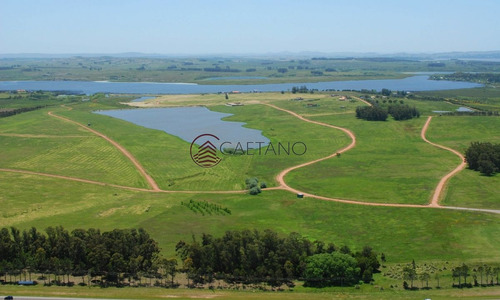 Imagen 9 de 22 de 50 Metros De Costa, Acepta Financiacion Sin Interes, Venta, Chacra, Punta Del Este, Uruguay, Laguna De Los Cisnes - Punta Ballena Laguna De Los Cisnes