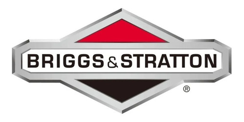 Imagen 4 de 4 de Cortadora De Pasto Naftera Dibra R60ne Briggs Stratton 4,5hp