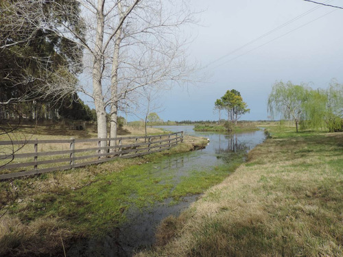 Excelente Campo De 51 Hectáreas Sobre Ruta 8