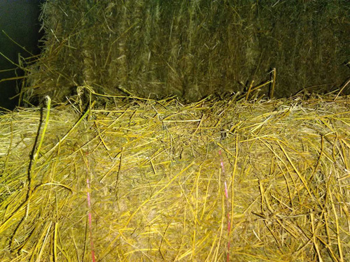 Imagen 2 de 2 de Fardos De Alfalfa Y Mezcla