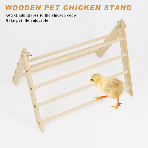 Chick Perch Backyard Chick Polas Polas Polas De Treinamento