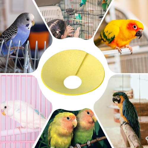 O, Collares Pájaros Collar Cuello Loro Collar Isabelin