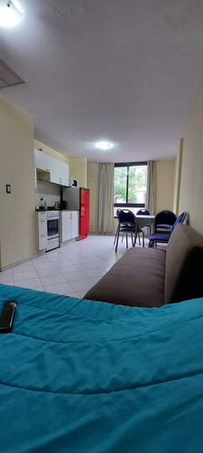 Imagen 4 de 20 de Alquilo Departamento Céntrico Con Pileta Y Cochera Para 4 Personas