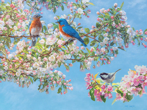 Rompecabezas Pajaros Y Flores Fest 275pz Grandes Cobble Hill